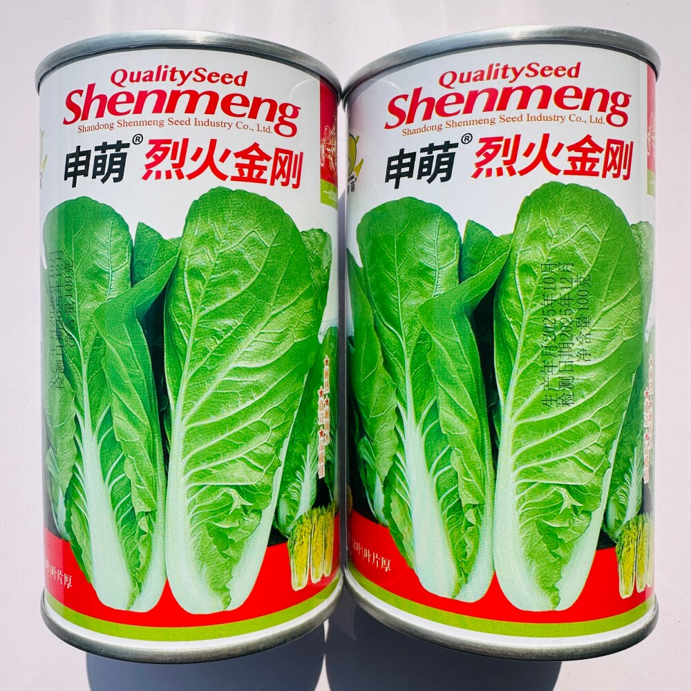 烈火金刚快菜种子耐热耐湿翠绿油亮小白菜种籽春夏秋季播蔬菜种孑