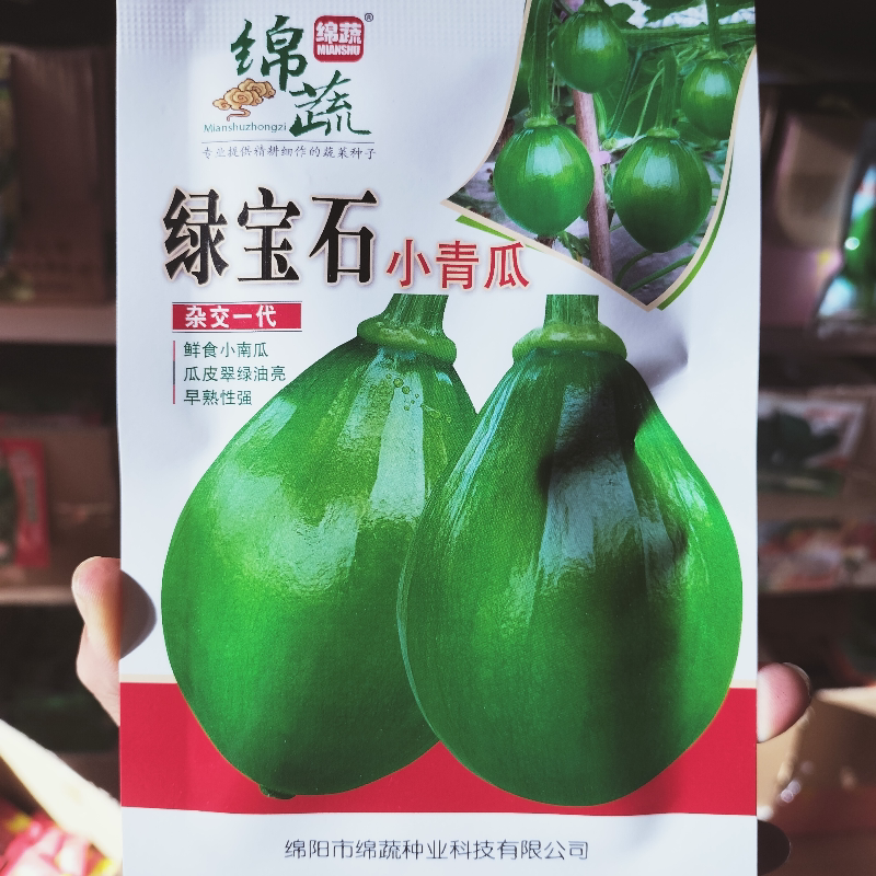 绿宝石小青瓜种子鲜食小南瓜种籽早熟翠绿皮嫩南瓜绿珠西葫芦种孑