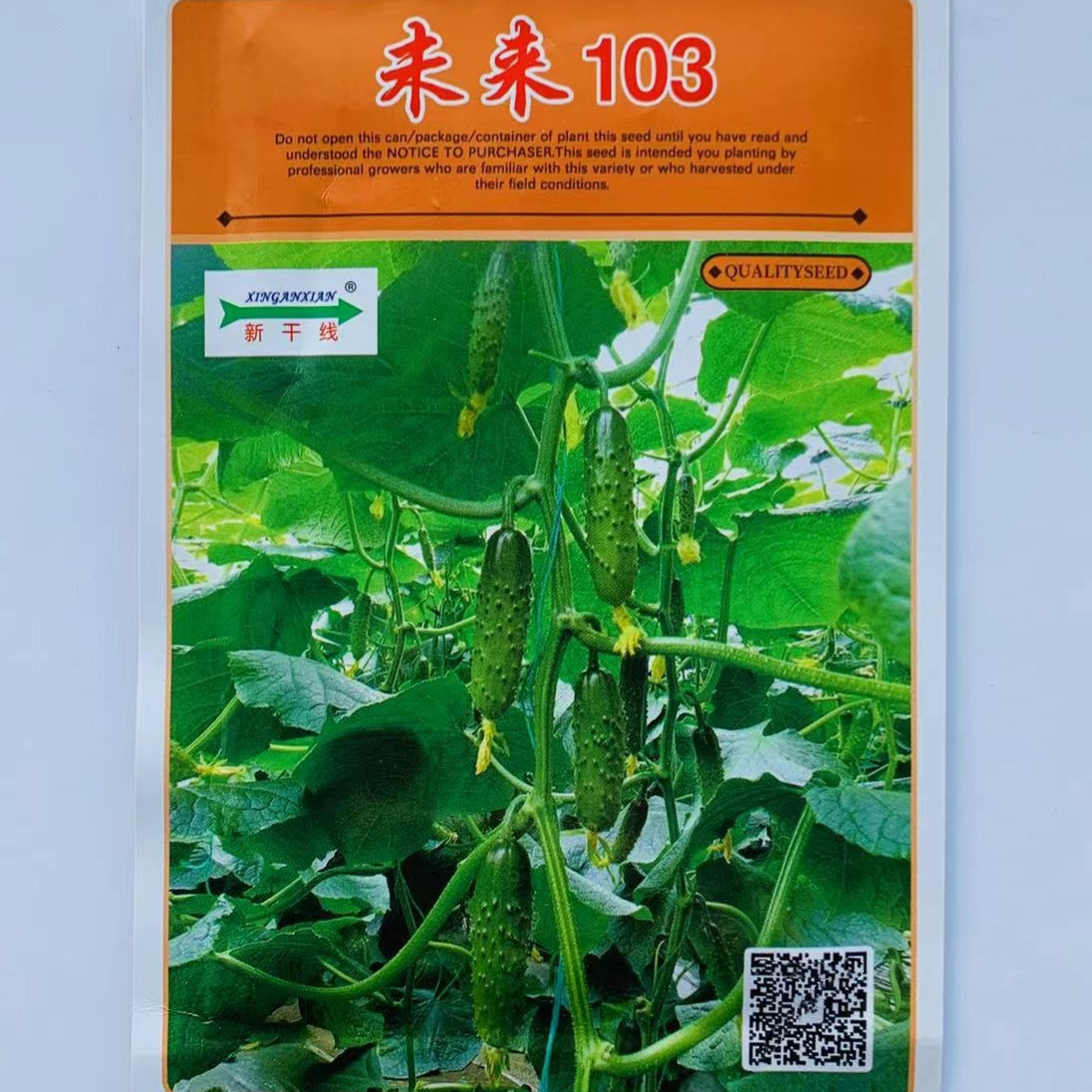 新干线未来103旱黄瓜种籽孑水果黄瓜油亮大刺瘤口感青瓜黄瓜种子