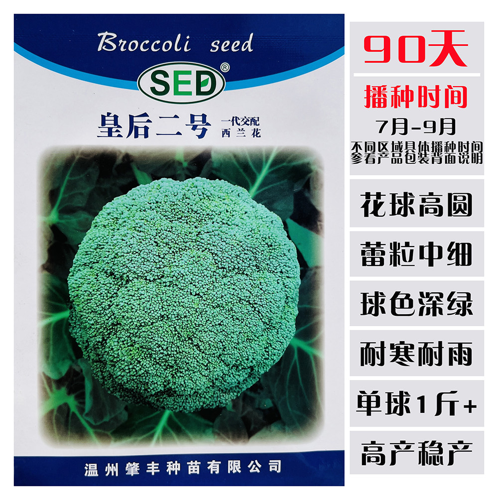 皇后二号西兰花种子中晚熟耐寒青花菜种籽绿花菜西蓝花种籽秋季播