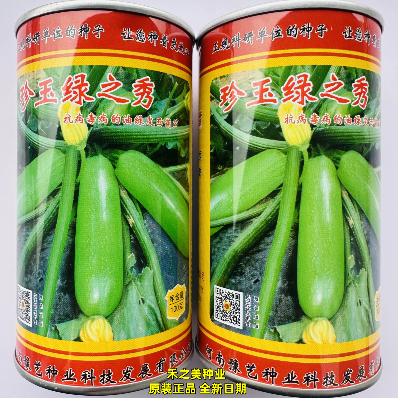 珍玉绿之秀西葫芦种子高产四季油绿皮西葫芦瓜种子番瓜茭瓜种籽孑