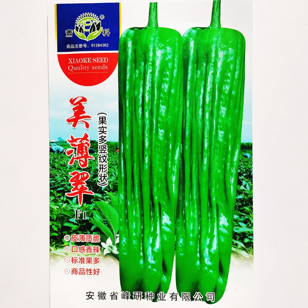 美薄翠香辣薄皮泡椒种子 抗病早熟口感好长灯笼椒种籽 春秋季播种