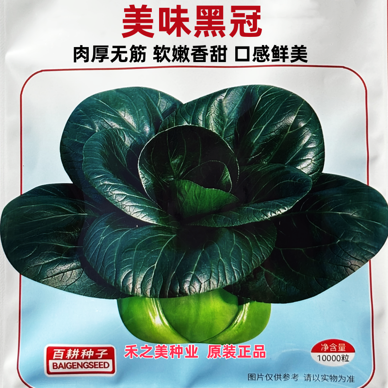 美味黑冠青菜种子黑叶青梗菜种籽上海青油菜种子春秋四季蔬菜种籽