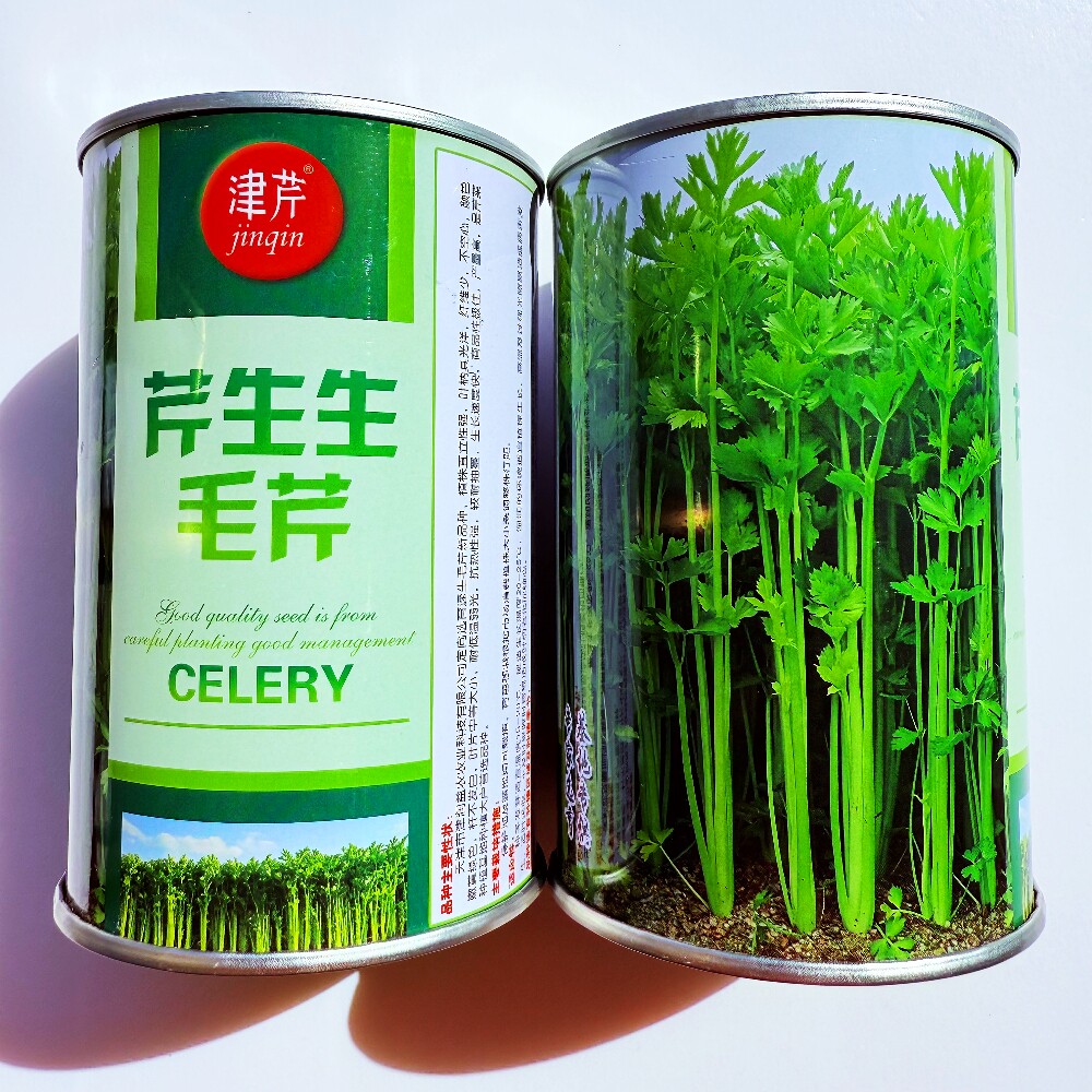 芹生生毛芹菜种子抗热速生产量高商品性好四季香芹菜种籽南北方播