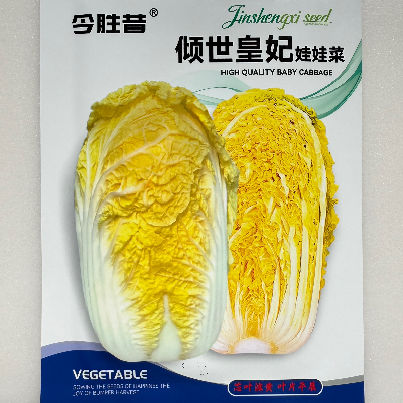 娃娃菜种子倾世皇妃早熟新品种口感鲜嫩高产抗病春秋播黄心娃娃孑