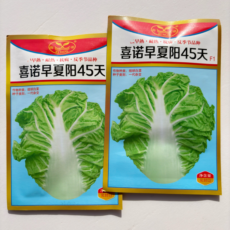 喜诺早夏阳45天大白菜种子早熟耐热抗病反季节品种农家夏秋季播种