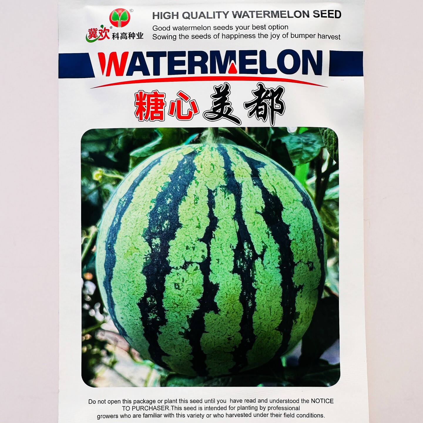 糖心美都西瓜种子杂交中熟大果薄皮西瓜种籽品质优农家大棚春季播