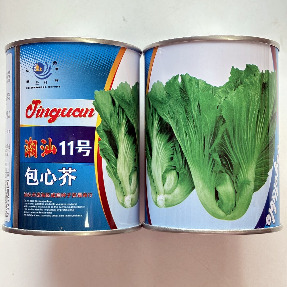 金冠潮汕11号包心芥菜种子抗病耐热耐湿芥菜种籽农家夏秋季播种孑