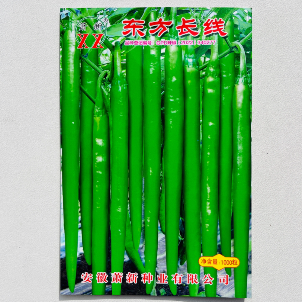 东方长线辣椒种子香辣早熟长线椒种籽抗病耐高温春秋季育苗播种孑