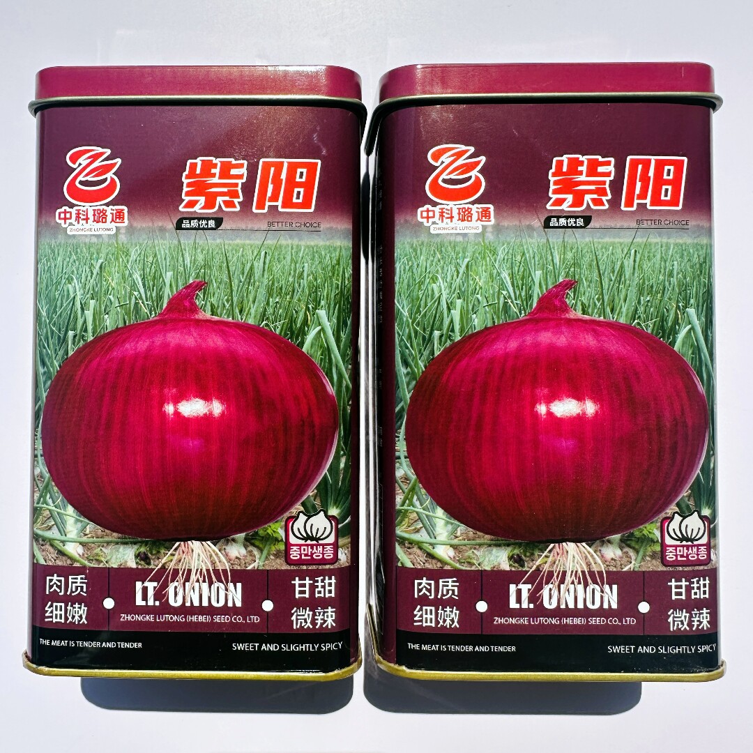 紫阳洋葱种子紫红皮口感甜脆杂交洋葱种籽肉质细嫩微辣农家秋季播