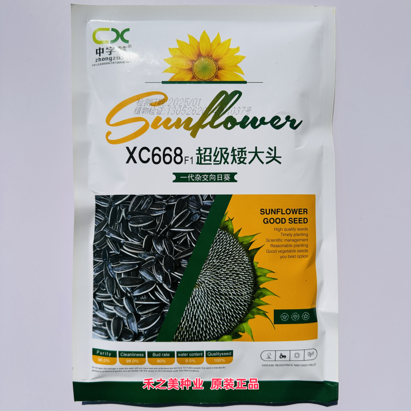 超级矮大头食葵种子高产抗病抗倒伏抗鸟啄高油大头葵花种籽蔬菜种