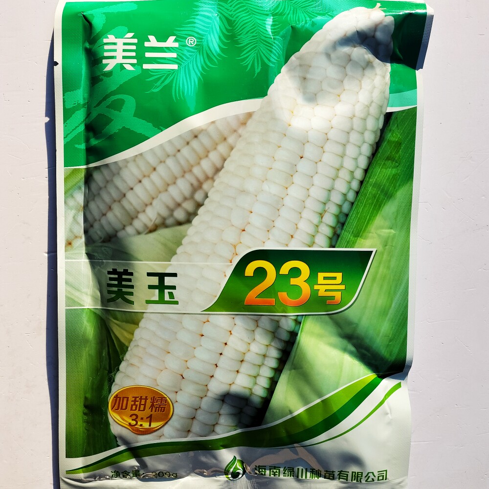 美玉23号白米种子大棒高产鲜食加甜糯黏玉米种籽大田基地春季播种