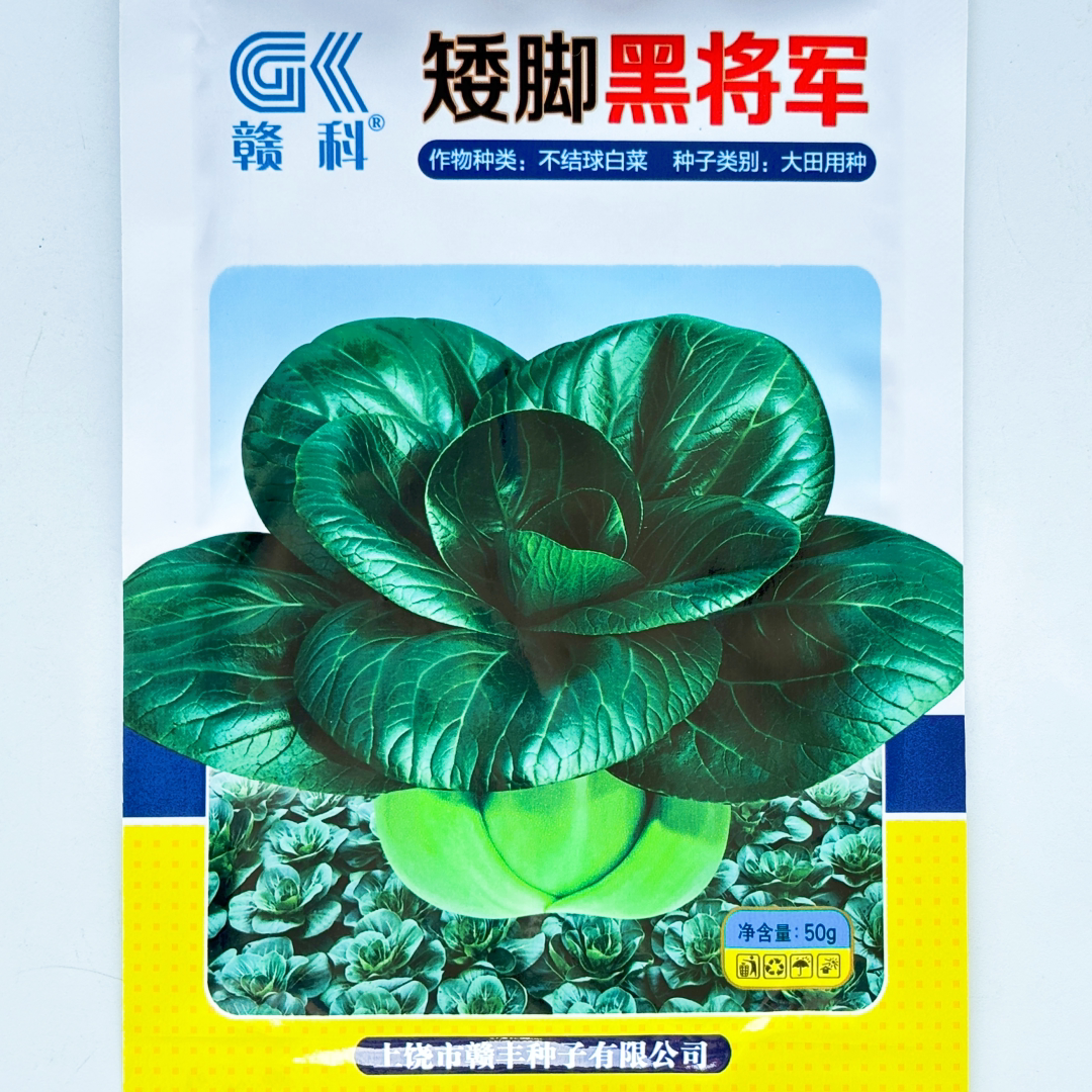 矮脚黑将军青梗菜种子青菜种籽农家阳台盆栽好吃青菜小白菜蔬菜孑