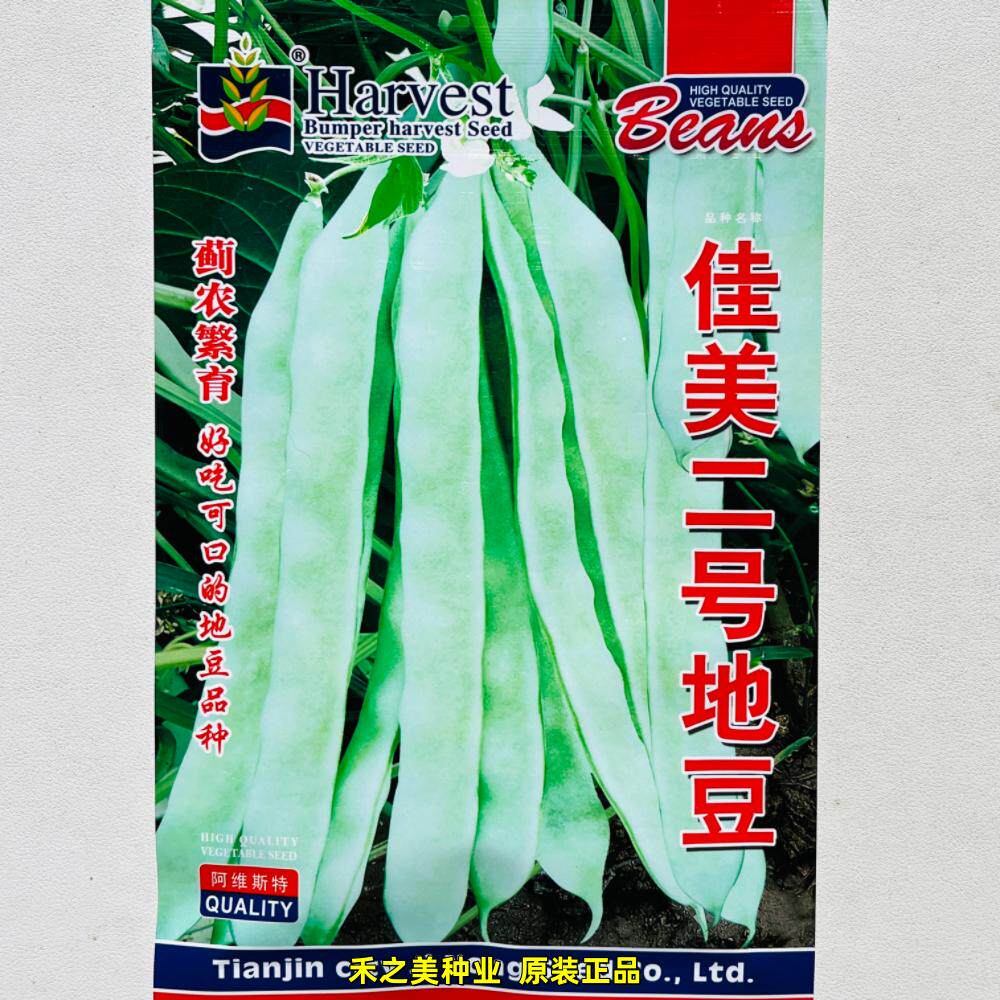 佳美二号地豆种子无架四季豆菜豆籽早熟抗病宽荚春秋新籽芸豆种子
