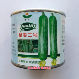 绿美二号丝瓜种子杂交耐热强雌早熟油亮抗病丰产丝瓜种籽春夏籽种