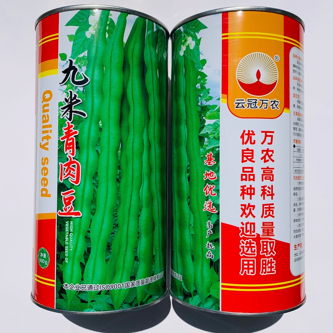 万农高科九米青肉豆种子抗病早熟耐热架豆四季豆种籽农家春秋季播