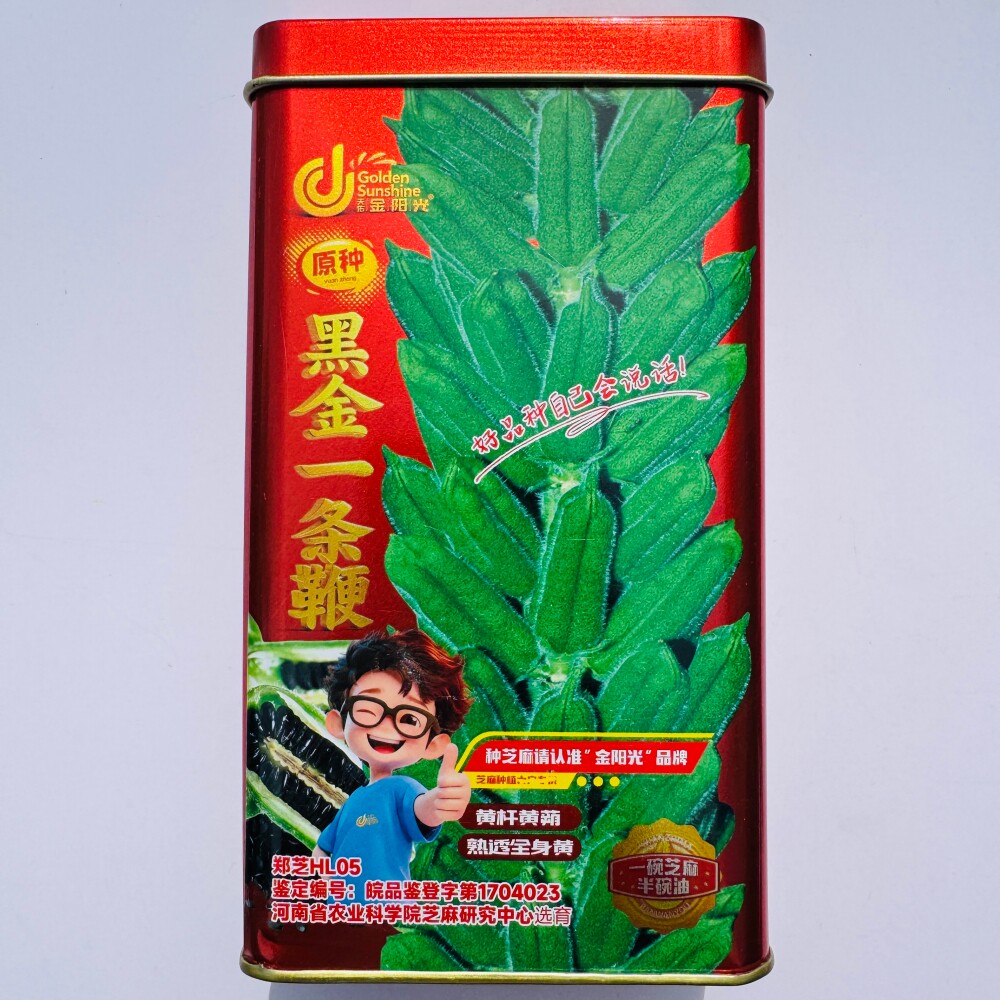 金阳光黑金一条鞭原种黑芝麻种子高产杂交茎杆粗壮芝麻种籽春夏播