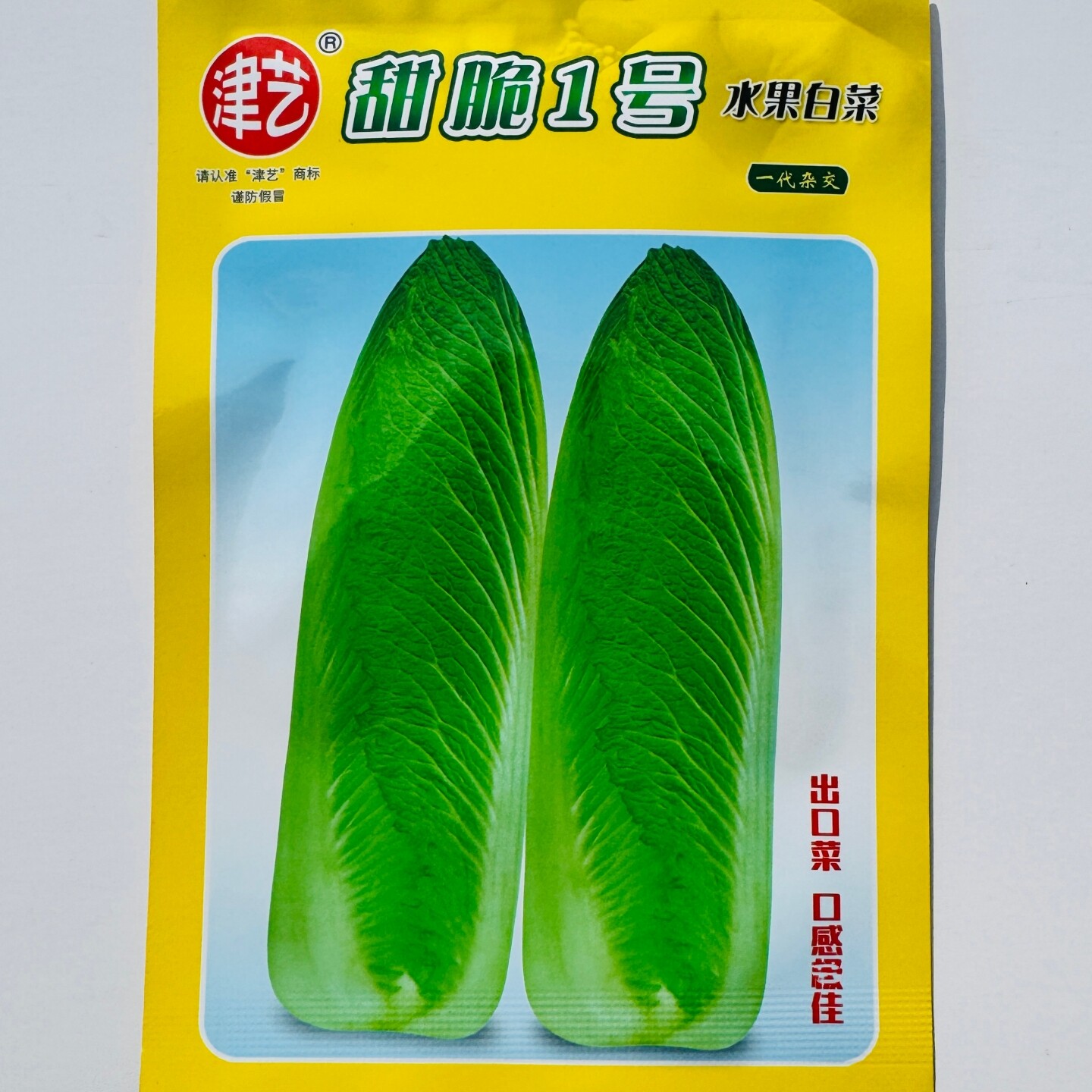 甜脆1号水果白菜种子绍菜种子龙牙白菜薄绿叶青麻叶菜秋蔬菜种籽