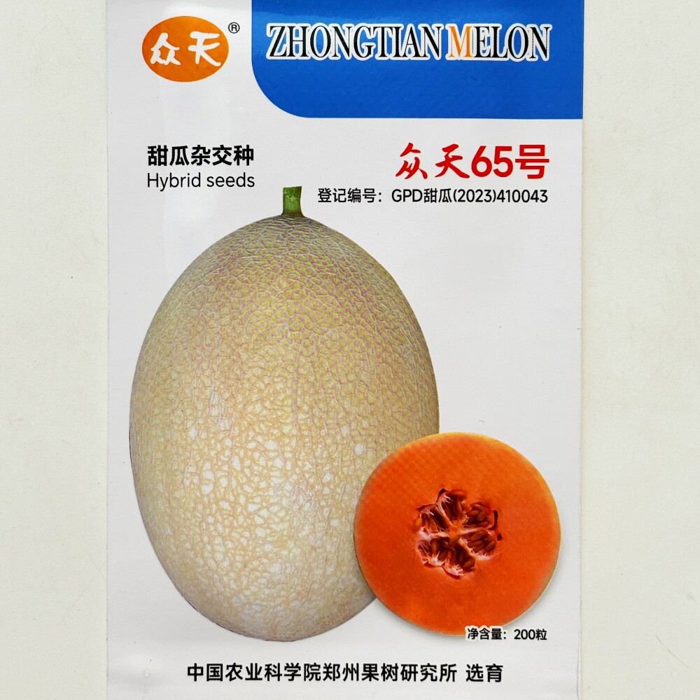 众天65号中熟厚皮甜瓜种籽白皮橙红肉网纹瓜种子农家大小棚露地播