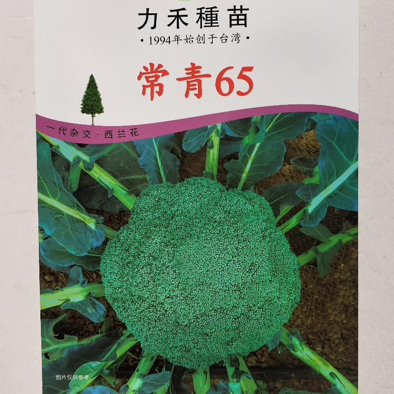 力禾种苗常青65/75西兰花种子一代杂交青花菜种籽大田基地春秋播