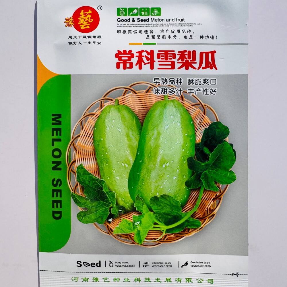 豫艺常科雪梨瓜种子抗病杂交早熟酥脆爽口甜瓜香瓜种籽老鼠瓜种孑