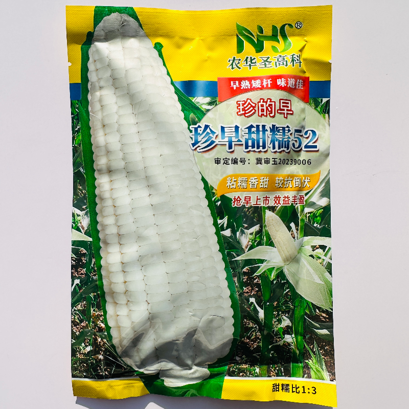珍的早珍早甜糯52甜加糯玉米种子甜糯1比3白糯玉米种籽春夏季播种