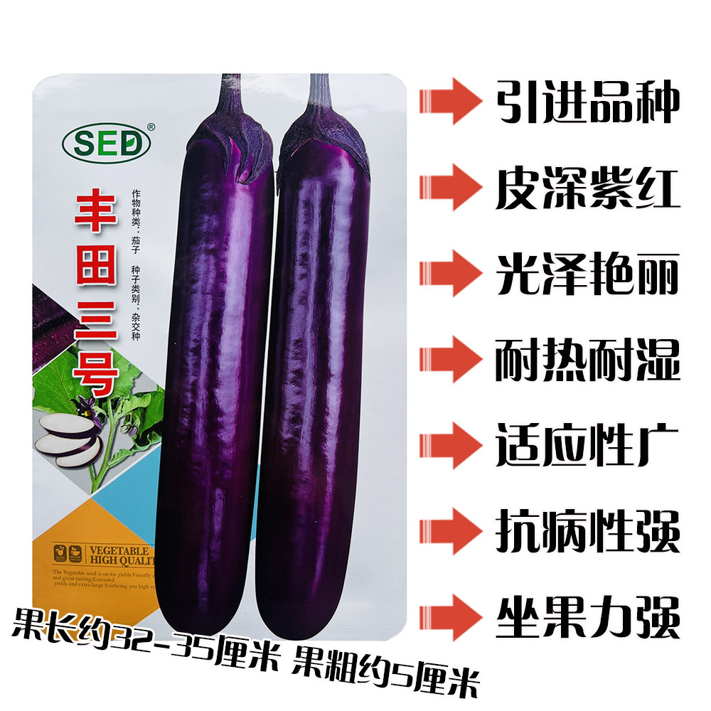 丰田三号紫红长茄种子 抗病丰产耐热耐湿茄子种籽 大田基地春秋播