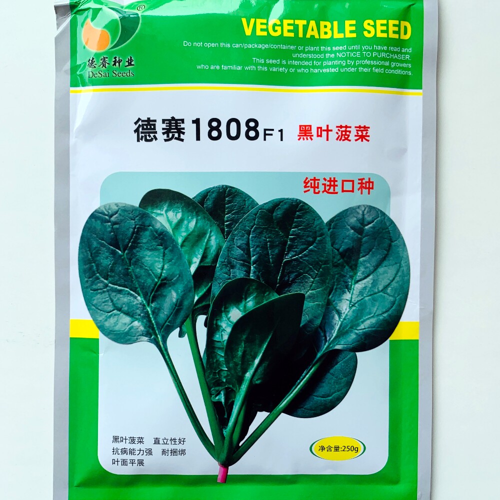 德赛1808F1进口黑叶菠菜种子杂交一代抗病高产春秋冬季播蔬菜种籽