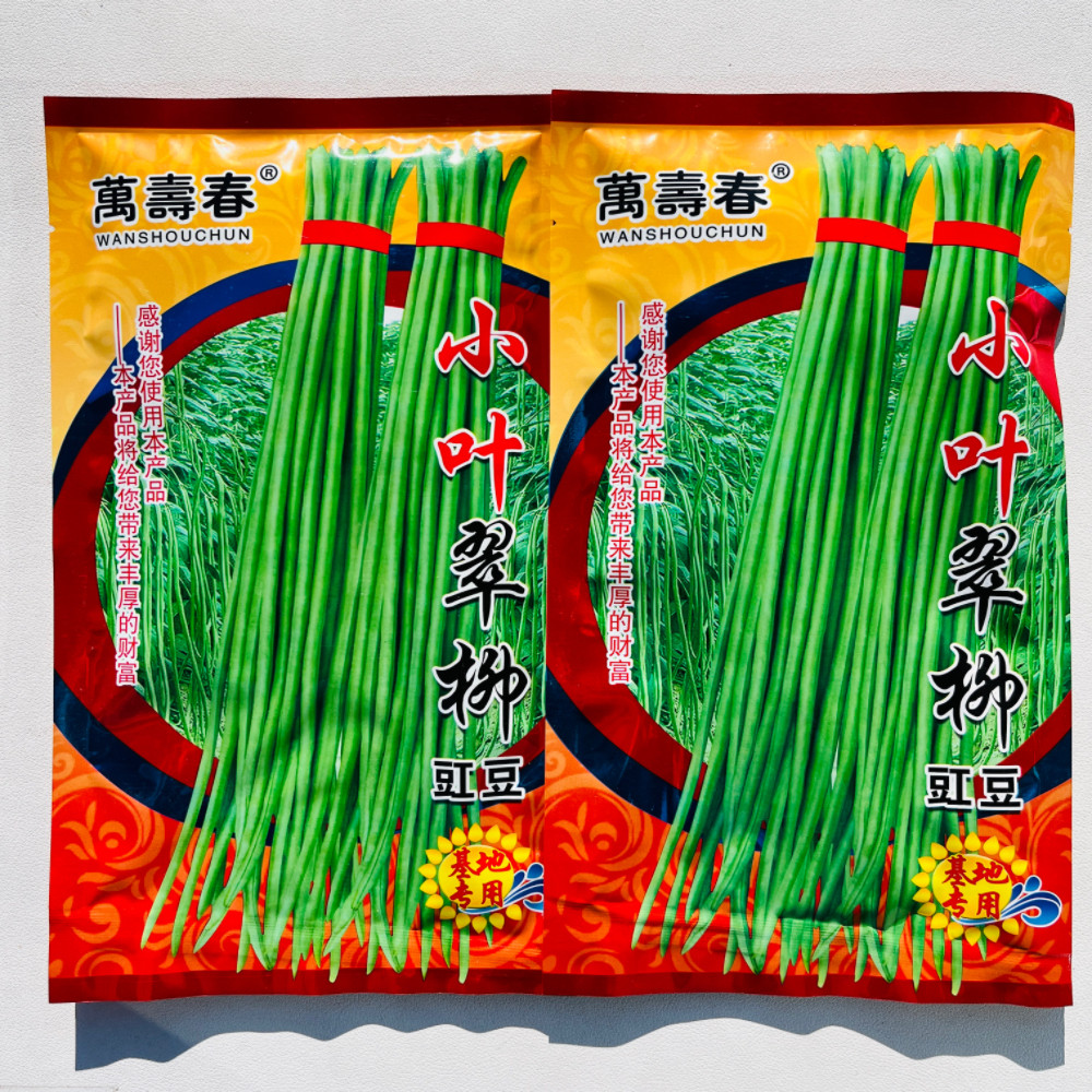 小叶翠柳豇豆种子高产早中熟翠绿莢长豆角种籽春夏秋季播蔬菜种孑