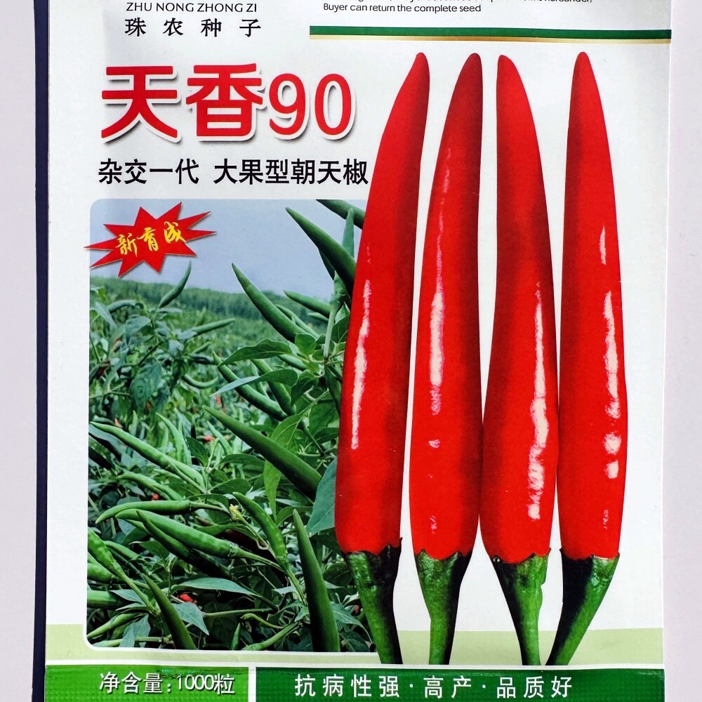 天香90朝天椒种子抗病高产杂交香辣大果型辣椒种籽春秋播蔬菜种孑