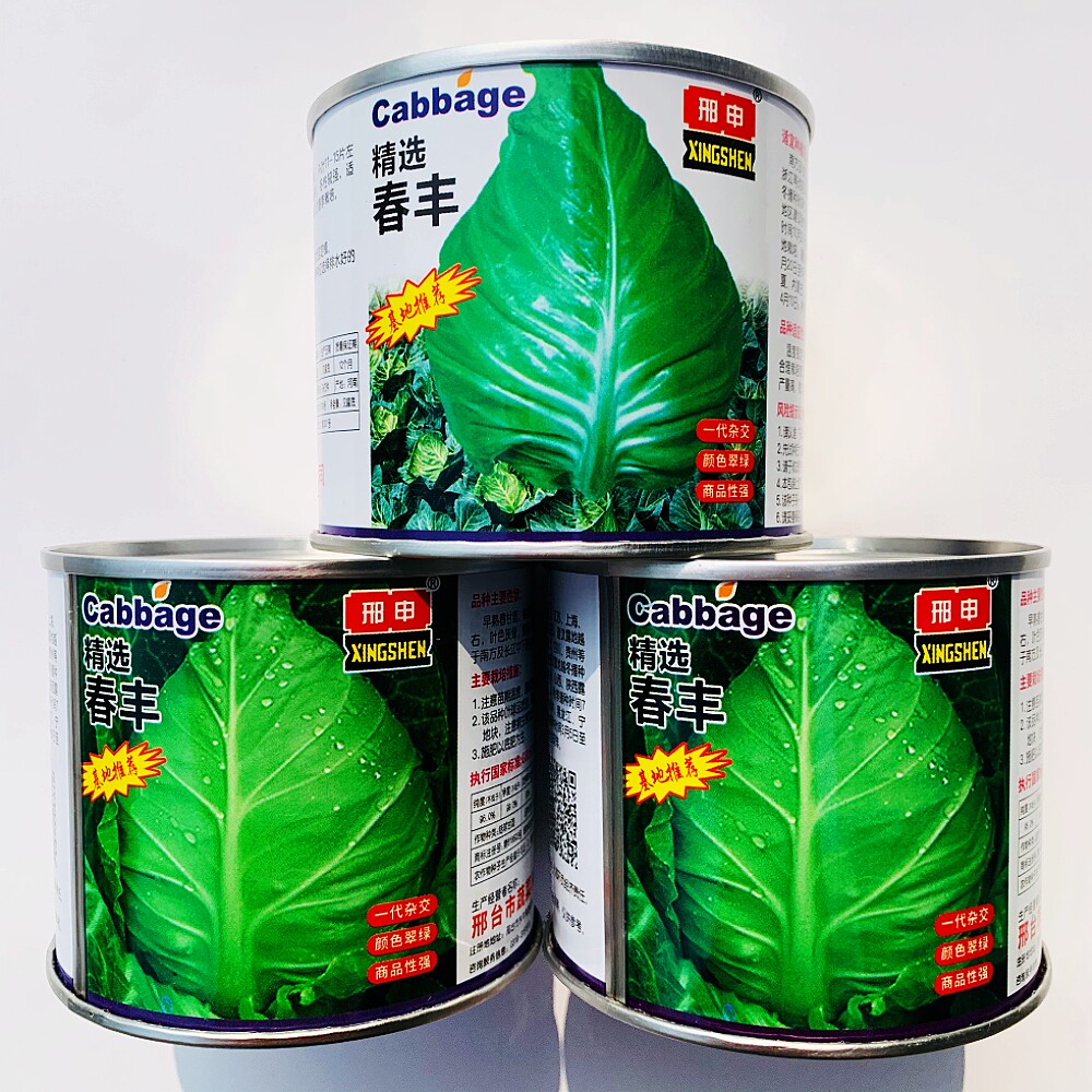 邢申春丰牛心甘蓝种子杂交抗病早熟卷心菜牛心菜种籽农家春秋季播