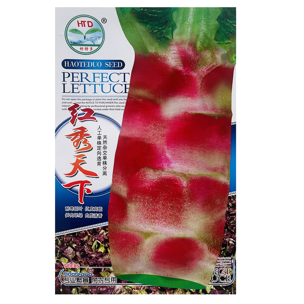 红秀天下红圆叶莴香笋种子耐寒紫红皮青肉莴苣种籽秋冬季播蔬菜孑