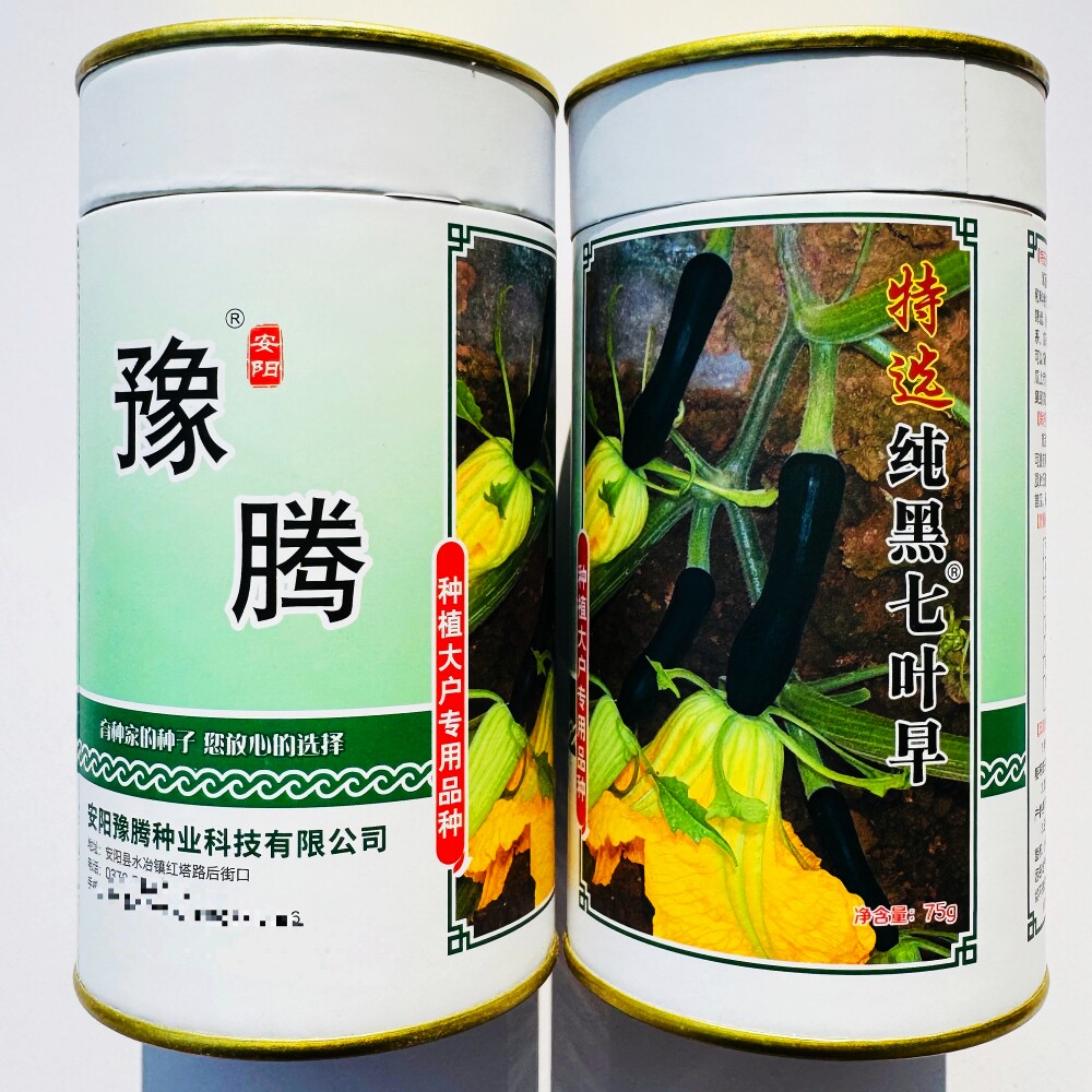 豫腾特选纯黑七叶早南瓜种子早熟味甜微面嫩南瓜种籽春季播蔬菜种