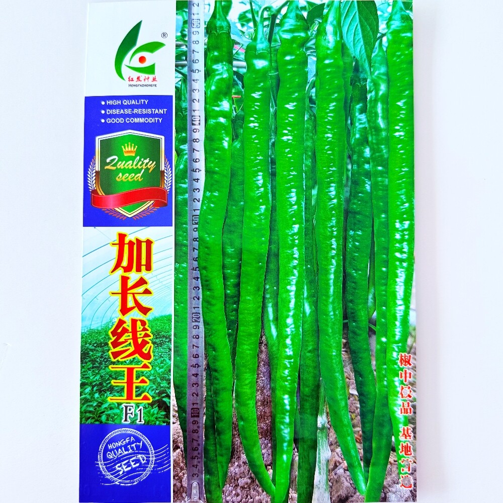 加长线王杂交早熟线椒种子特抗病高产辣椒种籽农家春秋播蔬菜种孑