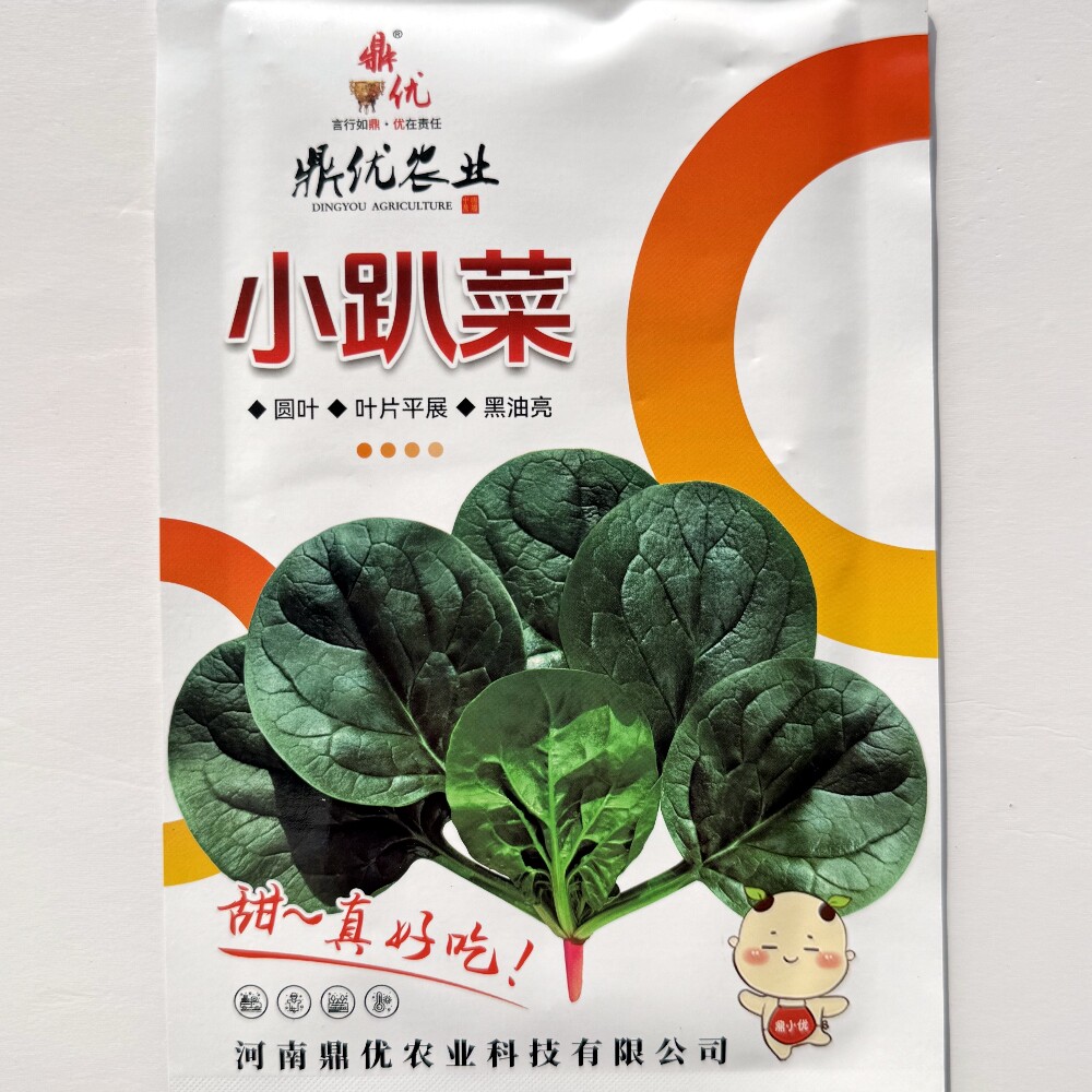 鼎优小趴菜红根趴地菠菜种子耐寒高产黑油亮圆叶菠菜种籽秋冬季播