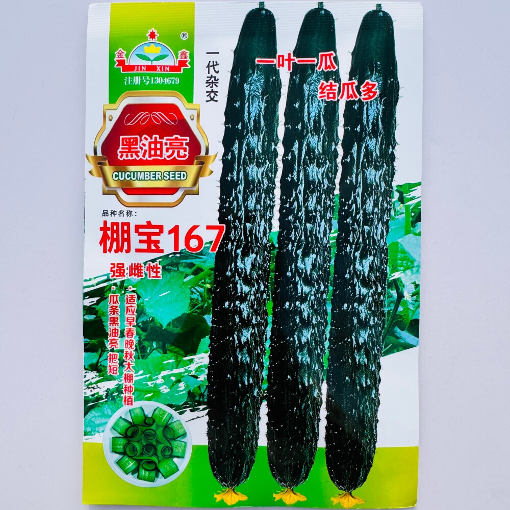 棚宝167黑油亮黄瓜种子一叶一瓜强雌早熟口感甜脆把短条直抗病强