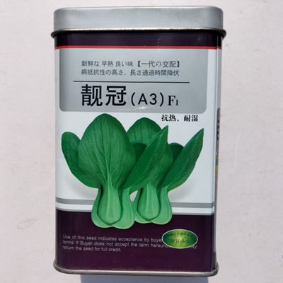 一代杂交靓冠青梗菜种子 叶柄青绿 四季播蔬菜青菜种子 高产抗病