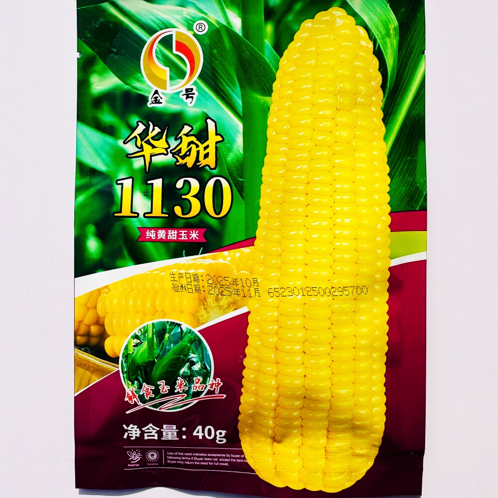 华甜1130纯黄甜玉米种子 高产早熟鲜食水果玉米种籽 农家春秋季播