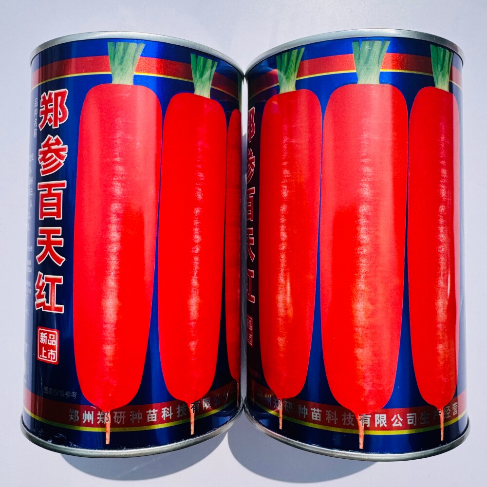 郑参百天红胡萝卜种子脆甜可口皮肉芯三红胡萝卜种籽秋季播蔬菜孑