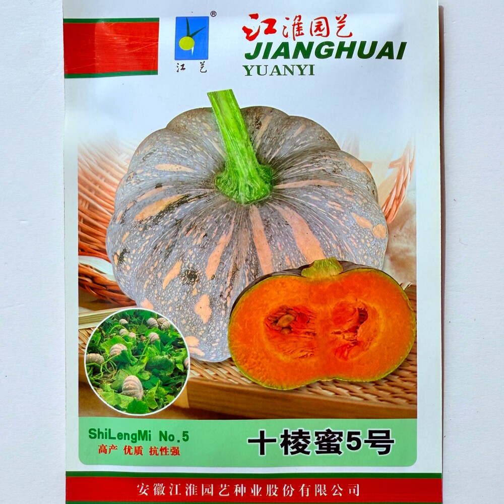 十棱蜜5号磨盘南瓜种子粉糯面甜高产早熟南瓜种籽口感好春秋季播