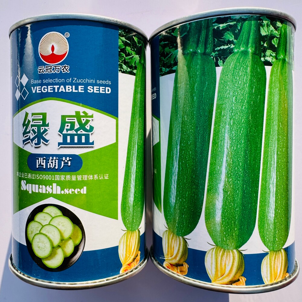 云冠万农绿盛西葫芦种子 抗病杂交翠绿皮占瓜种籽 农家春秋季播种