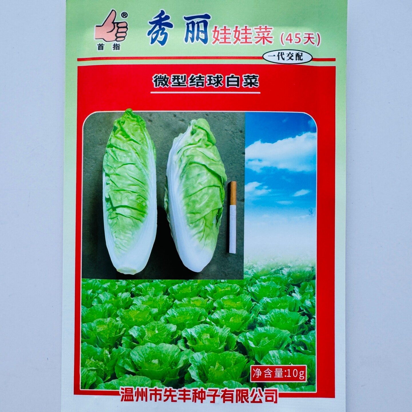 秀丽娃娃菜45天娃娃菜种子杂交微型结球白菜种籽农家四季蔬菜种孑