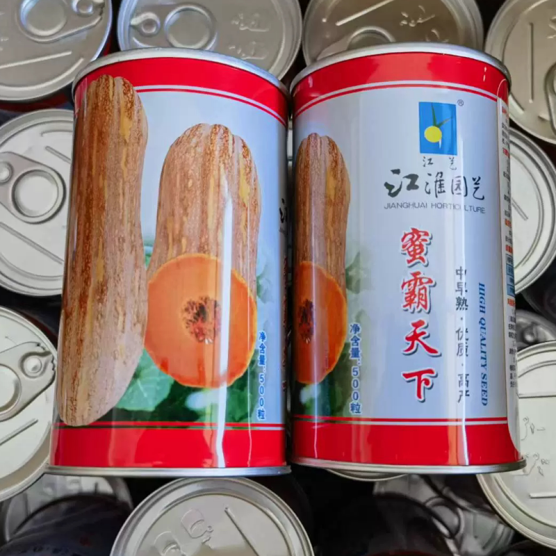 蜜霸天下蜜本南瓜种子优质高产中早熟南瓜种籽正品大田基地春秋播