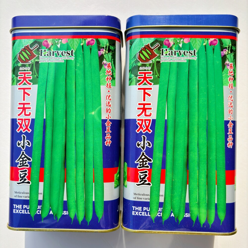 天下无双小金豆四季豆种子有架爬藤芸豆红花无筋四季农家蔬菜种籽