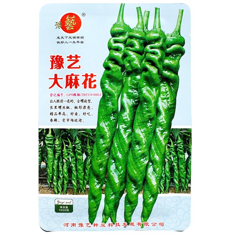 豫艺大麻花螺丝椒种子薄皮肉脆香辣全螺旋型长果螺丝椒种子1000粒