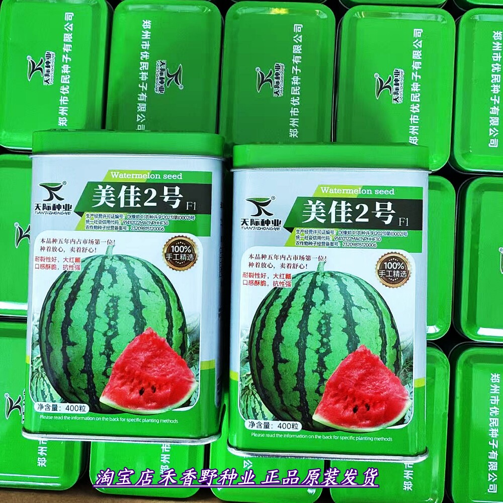美佳2号大红壤西瓜种子抗病杂交耐裂大果早熟麒麟西瓜种籽春季播