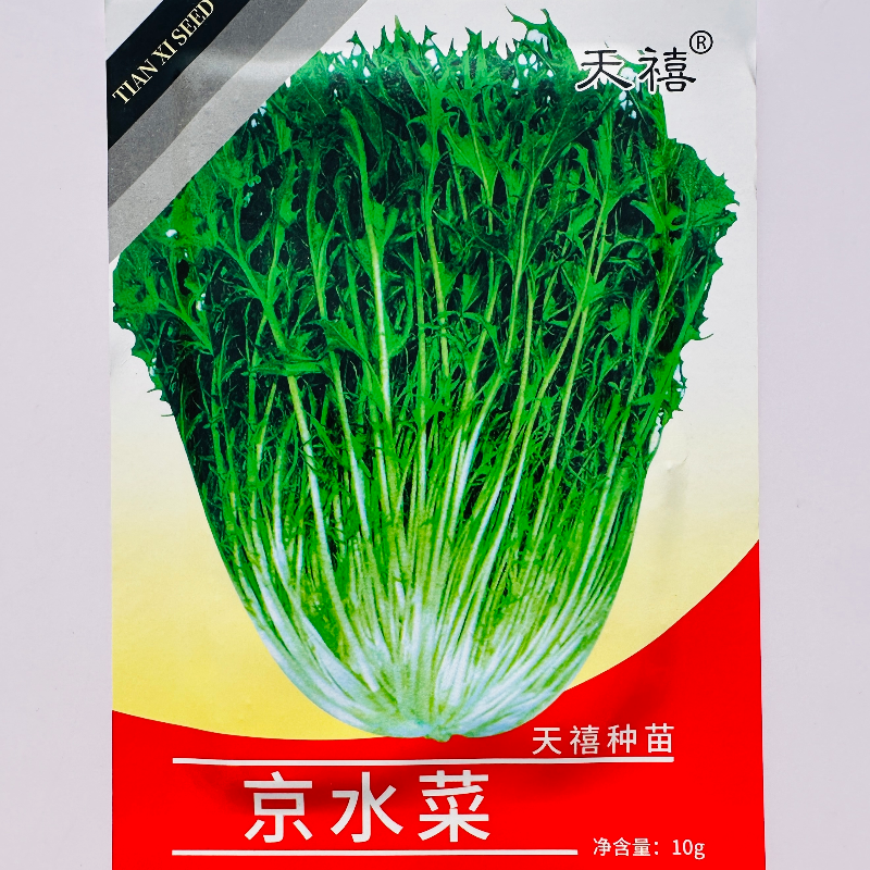 天禧京水菜种子水晶菜种籽芥菜特色野菜种子农家秋季播蔬菜种子孑