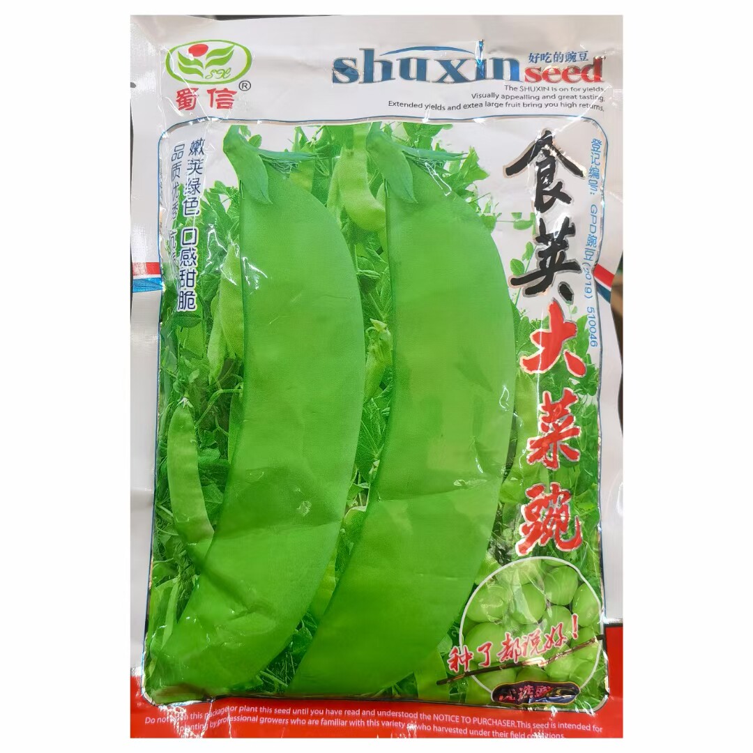 蜀信食荚大菜碗种子香甜脆嫩中早熟大荚荷兰豆种子农家秋季播蔬菜