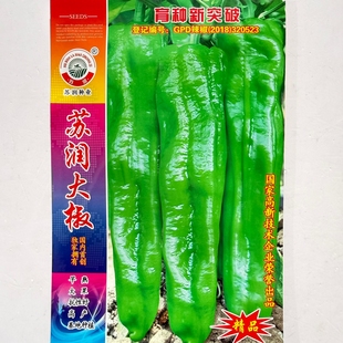 苏润大椒特大果牛角椒辣椒种籽种子薄皮微辣抗病高产优质蔬菜种孑