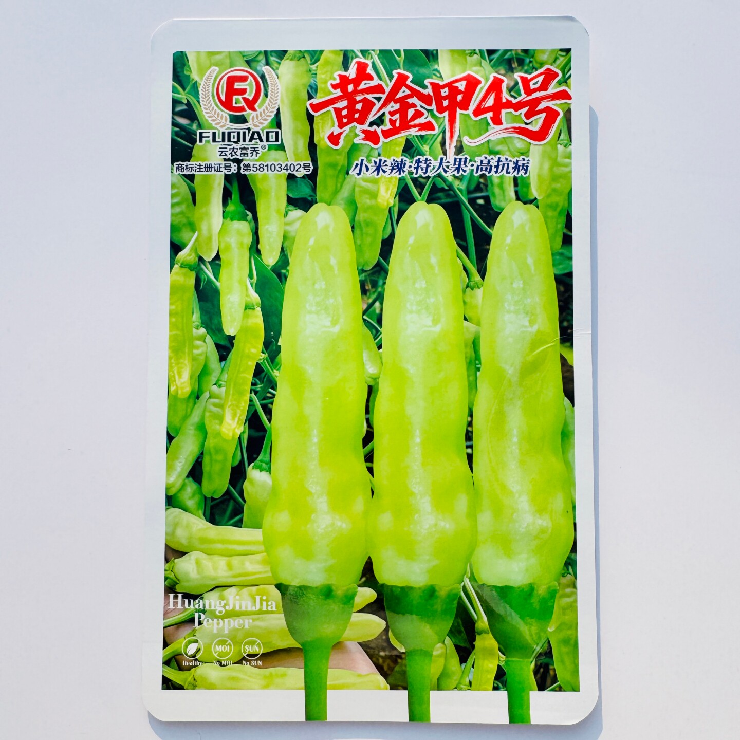 黄金甲4号辣椒种子大果抗病早熟辣味强杂交小米辣椒种籽春秋季播